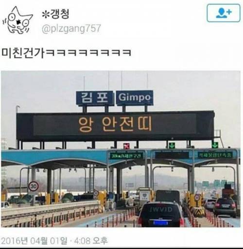 안전띠.jpg