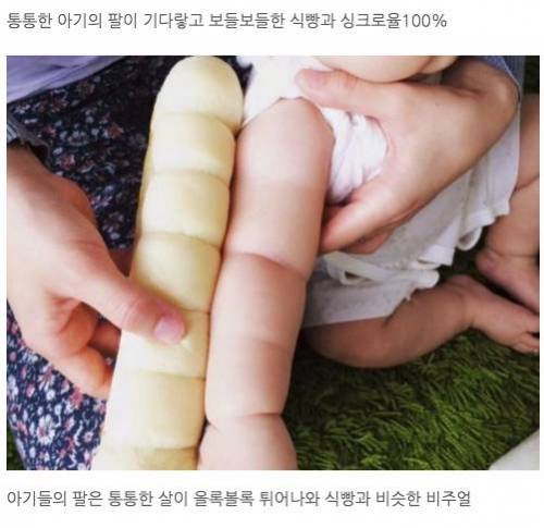 우리 아기 팔에 폭신한 '식빵'이 있어요