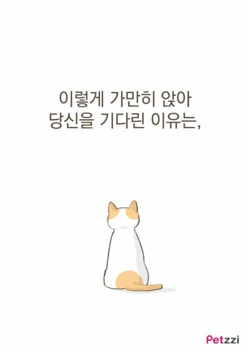 고양이가 화장실 앞에서 기다리고 있는 이유?