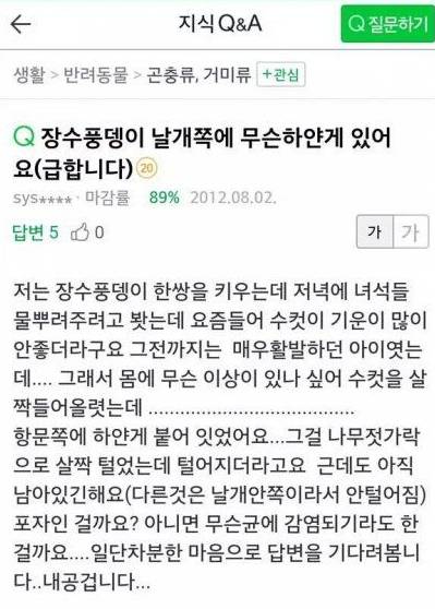 장수풍뎅이야 미안해..