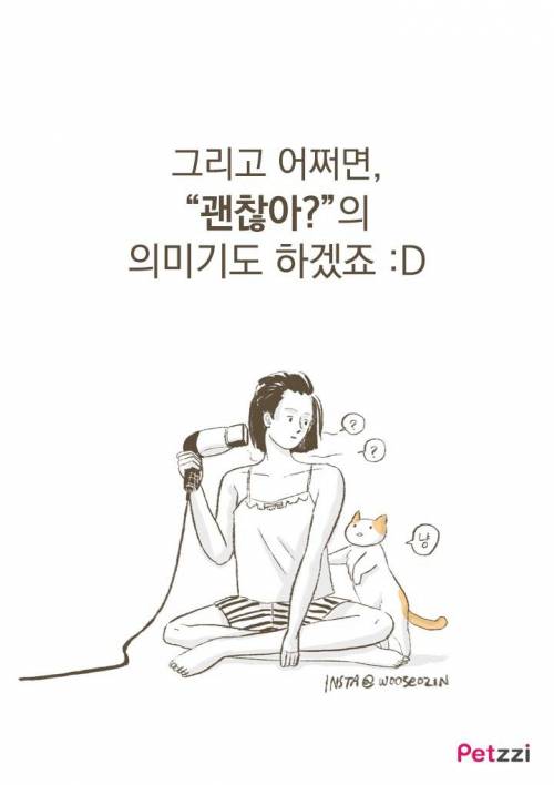 고양이가 화장실 앞에서 기다리고 있는 이유?