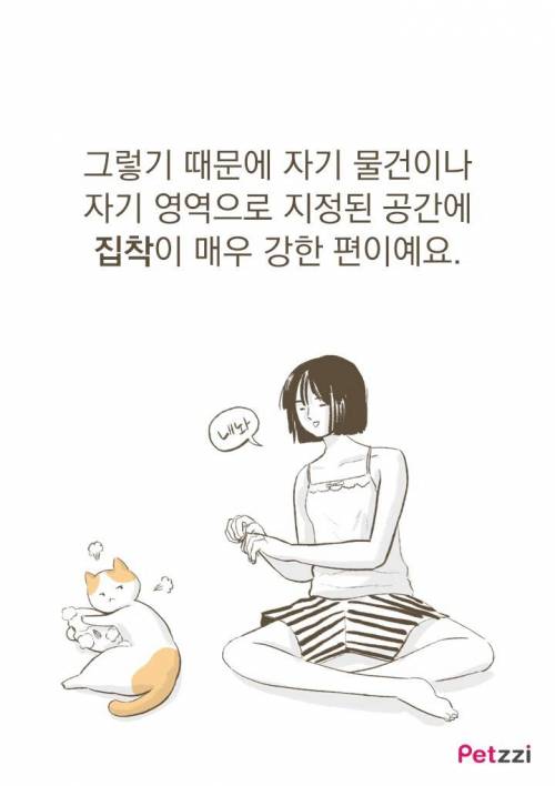 고양이가 화장실 앞에서 기다리고 있는 이유?