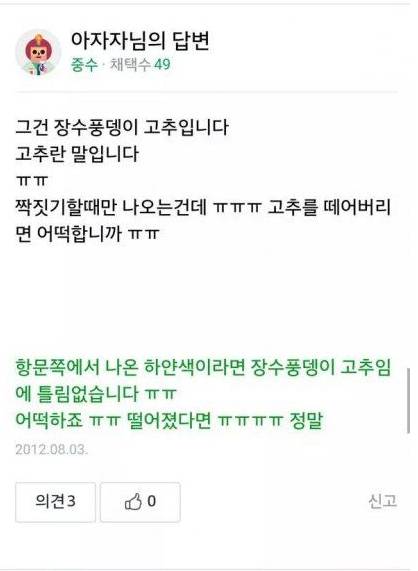 장수풍뎅이야 미안해..