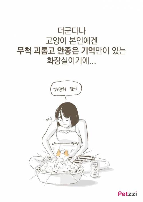 고양이가 화장실 앞에서 기다리고 있는 이유?