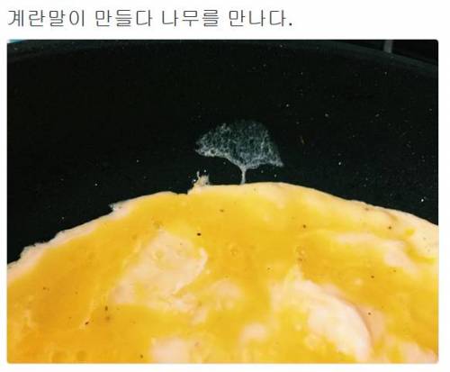 계란말이 만들다 예술함.jpg