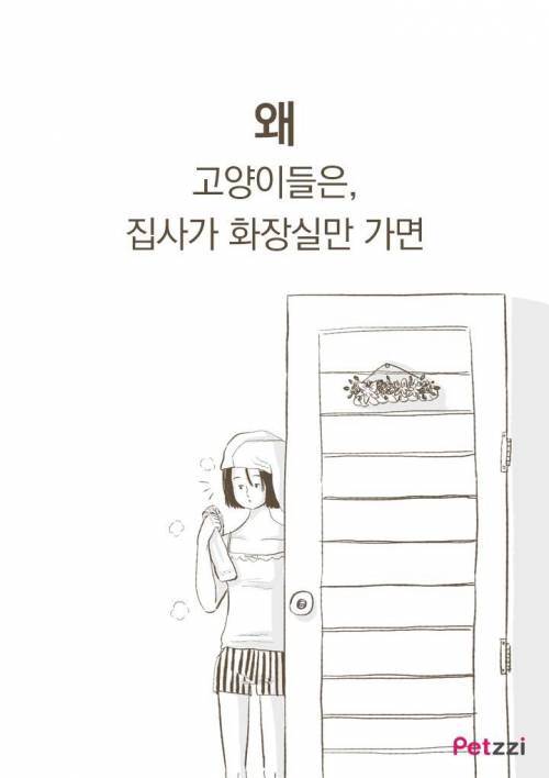 고양이가 화장실 앞에서 기다리고 있는 이유?