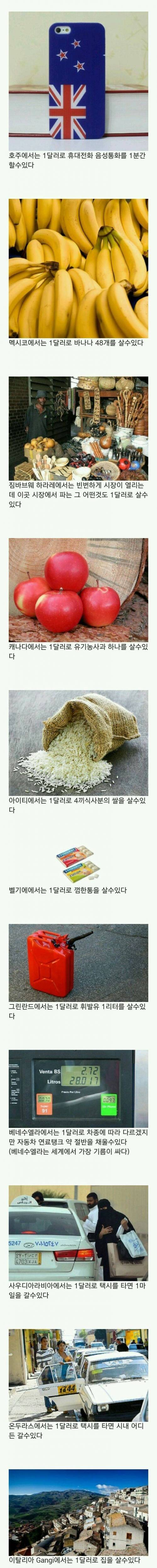 1달러로 살 수 있는것들.