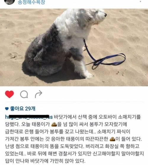 똥도둑.jpg