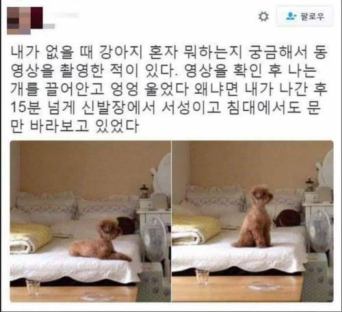 내가 없을 때...jpg