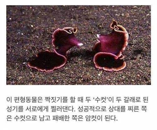 잠재적 여성성.jpg