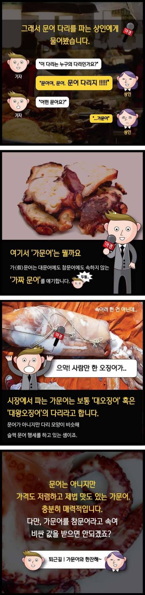 시장 문어다리의 정체