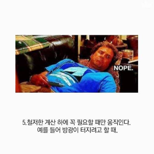 게으른 사람이 일을 잘하는 이유