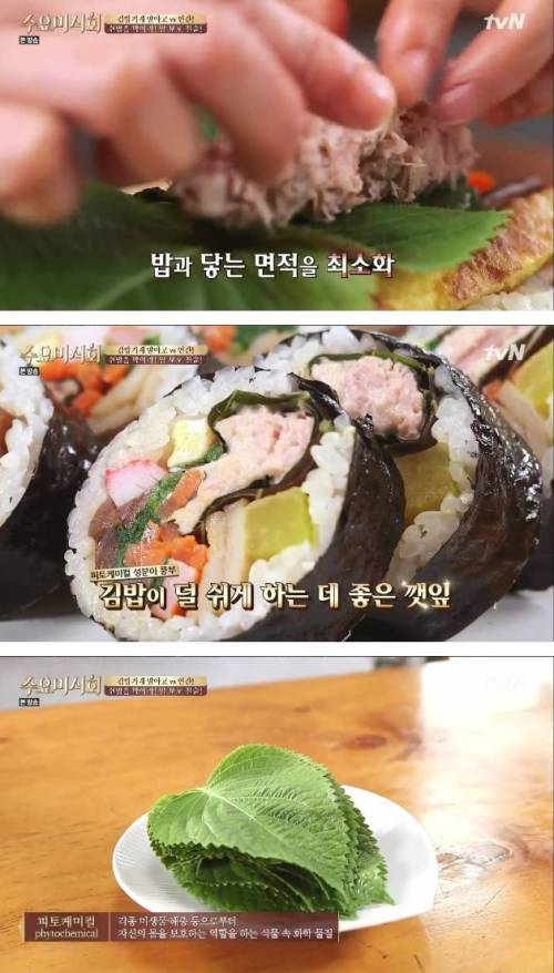 참치 김밥에 깻잎이 들어가는 이유