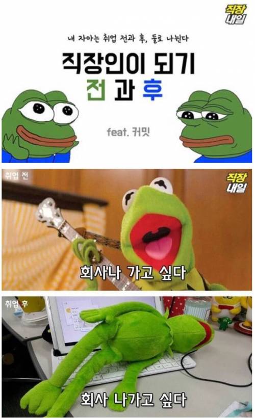 직장인이 되기 전과 후.jpg