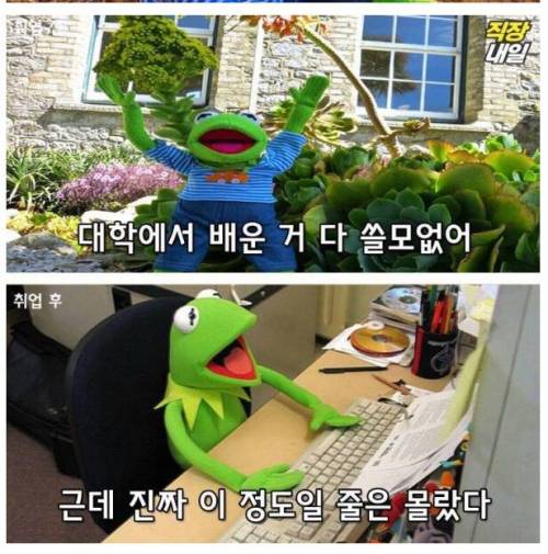 직장인이 되기 전과 후.jpg