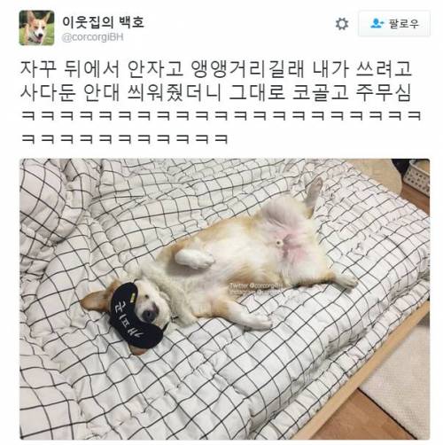 벌써 밤인가.jpg