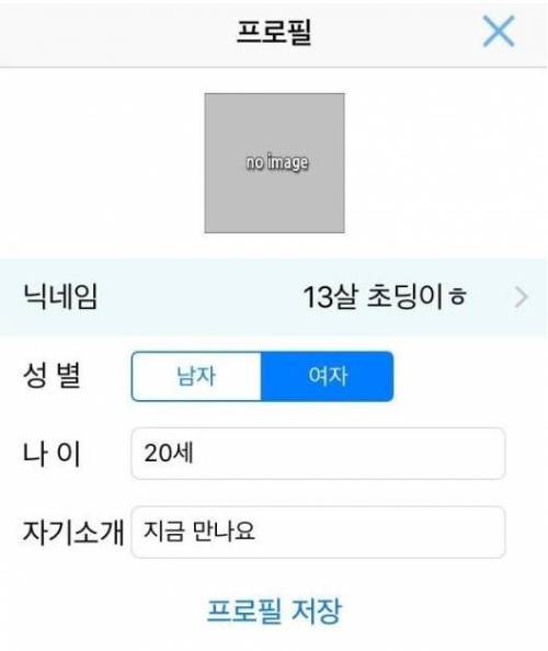 채팅앱에서 13살 女초딩인척 해보았다