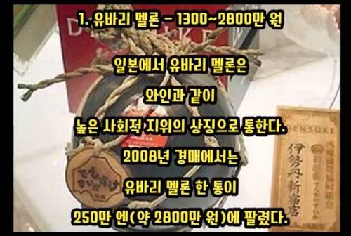 세상에서 가장 비싼 과일 TOP 10