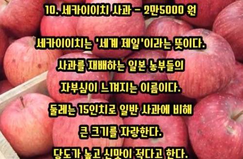 세상에서 가장 비싼 과일 TOP 10