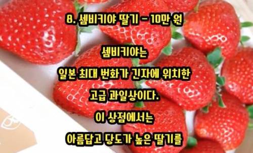 세상에서 가장 비싼 과일 TOP 10