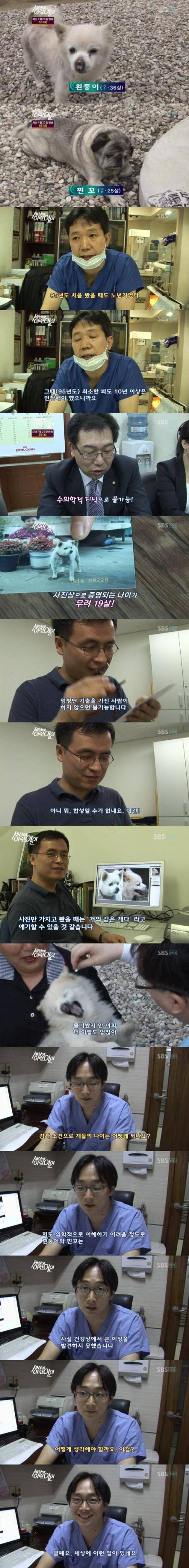 개 나이의 신비.jpg