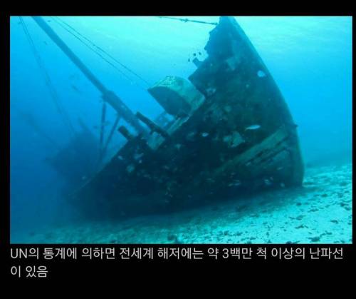 바다와 관련된 흥미로운 사실들.JPG