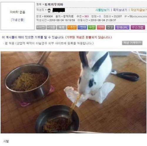 토끼 키우지마.jpg