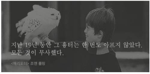 오랫동안 기억되는 소설의 마지막 문장