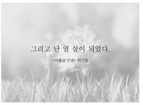 오랫동안 기억되는 소설의 마지막 문장