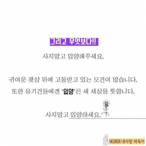 강아지 잃어버렸을 때 찾는 법