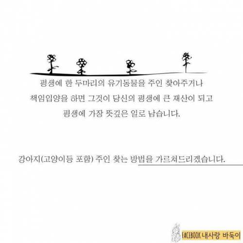 강아지 잃어버렸을 때 찾는 법