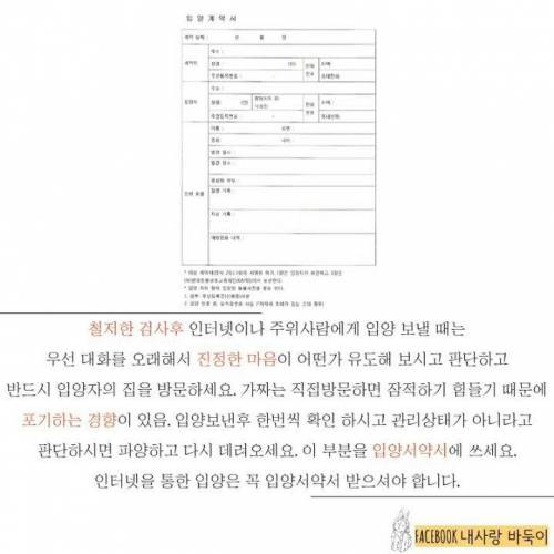 강아지 잃어버렸을 때 찾는 법