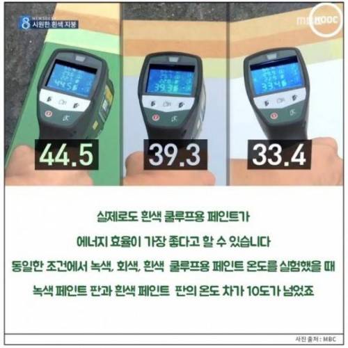 초록색 옥상이 많은 이유는...?