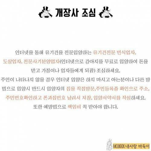 강아지 잃어버렸을 때 찾는 법