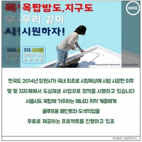 초록색 옥상이 많은 이유는...?