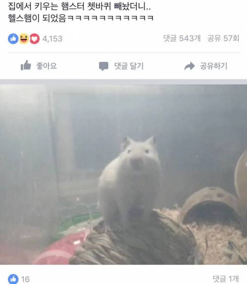 헬스햄.JPG