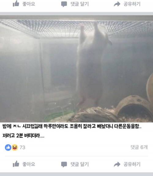 헬스햄.JPG