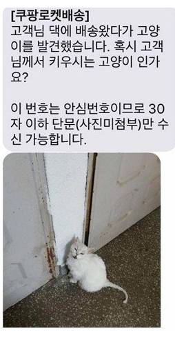 집 나간 고양이를 발견한 쿠팡맨이 보낸 문자.jpg