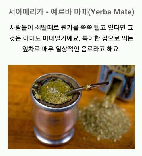 더운 날씨에 마시는 세계각국의 음료