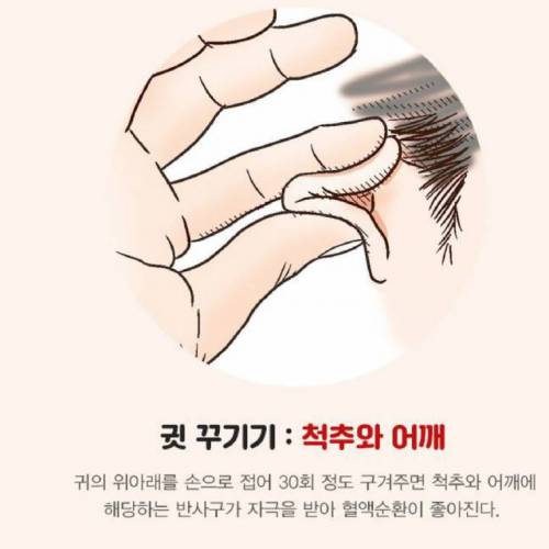 피로를 풀어주는 귀 마사지법