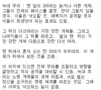 늑대들의 사회.jpg