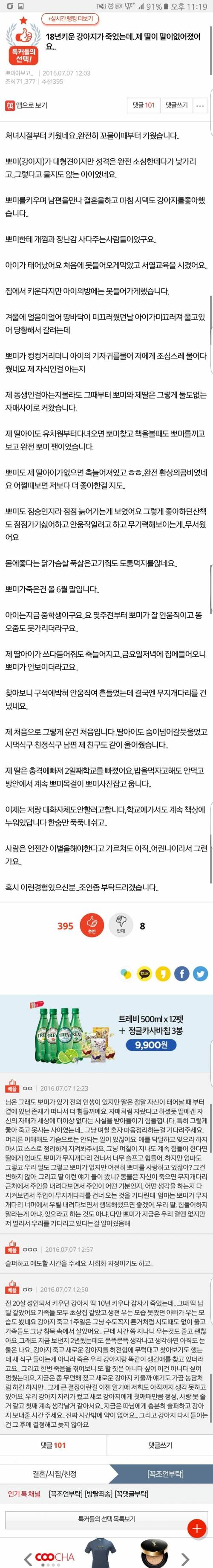 18년키운 강아지가 죽었는데..제 딸이 말이없어졌어요..