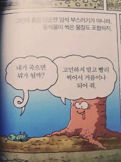 어린이 도서 속 동심파괴.jpg