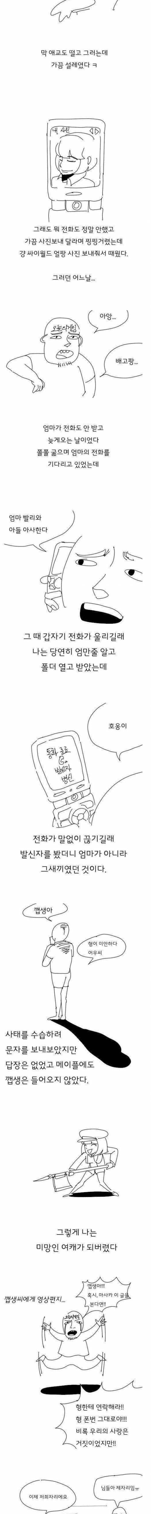 메이플 넷카마의 추억.manhwa