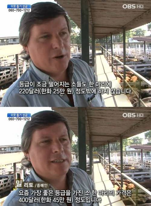 아르헨티나 소값의 위엄.jpg