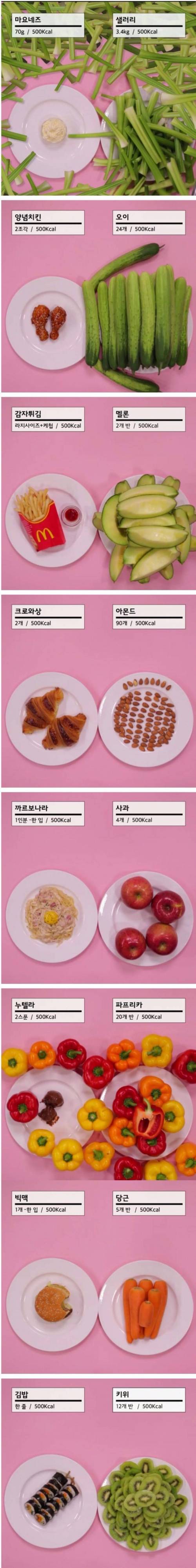 음식별 500Kcal.jpg