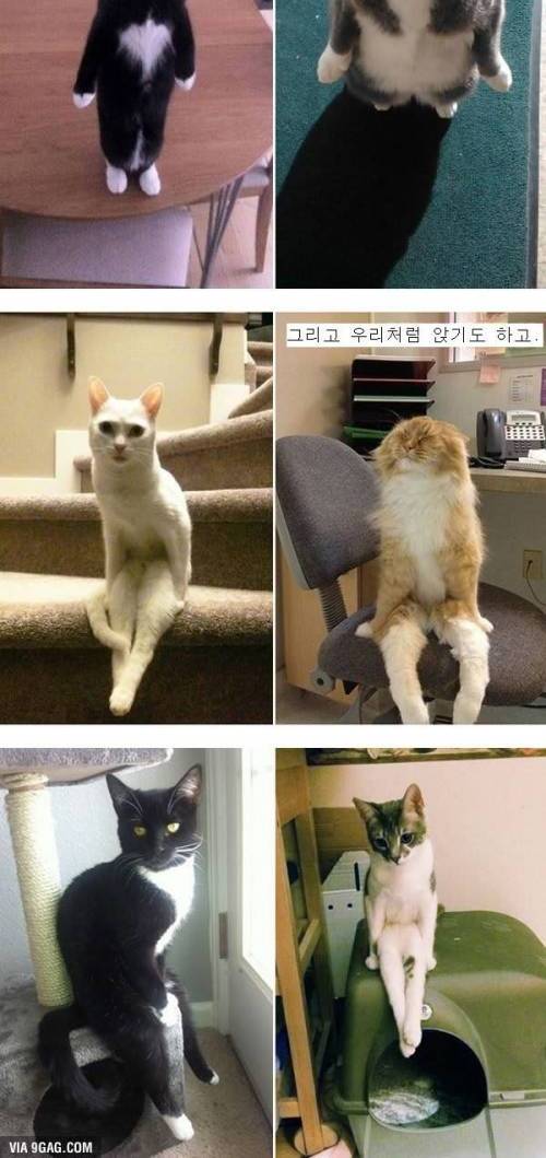 놈들의 인간화 작전은 이미 끝났다