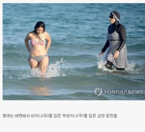 프랑스에서 논란중인.jpg