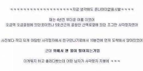 정자 천장에 숨어있던 남자..