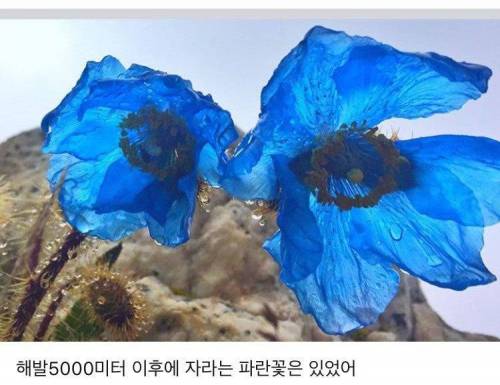 냉혹한 포켓몬 트레이너의 세계